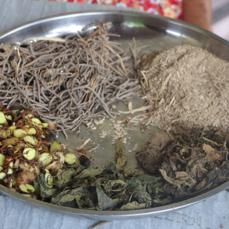 Dried herbs, roots and leaves on a metal tray, the raw ingredients of Koh Yor herbal powder
